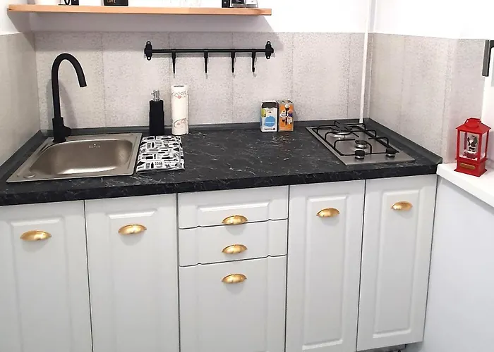 Castanilor Elite 公寓